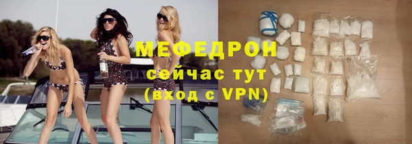 сатива Бородино