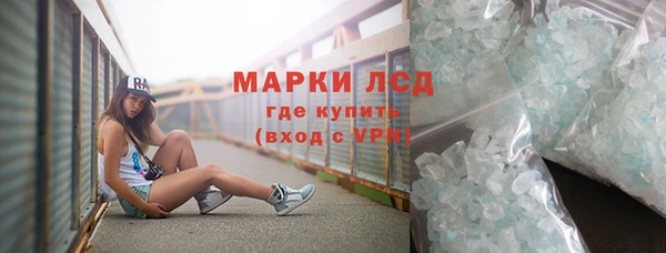 сатива Бородино