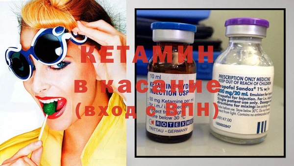 сатива Бородино