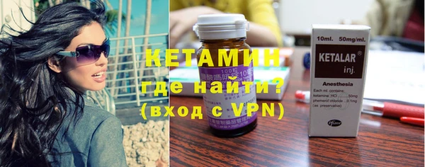 сатива Бородино