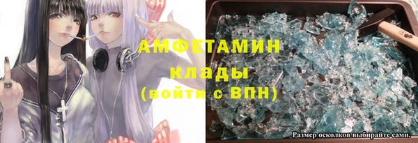 сатива Бородино
