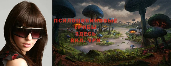 сатива Бородино
